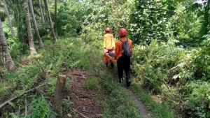 Search Intensifies for Missing Hikers Following Fatal Mount Dukono Eruption