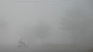 Jambi Shuts Schools and Shifts to Remote Learning as Toxic Haze Triggers Respiratory Illness Surge